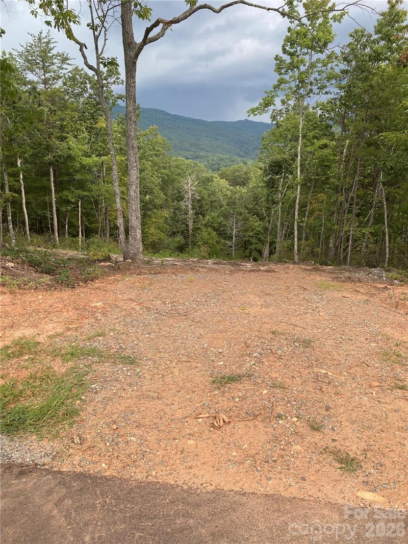 2 Jackson Ridge Ln, Mill Spring, NC 28756