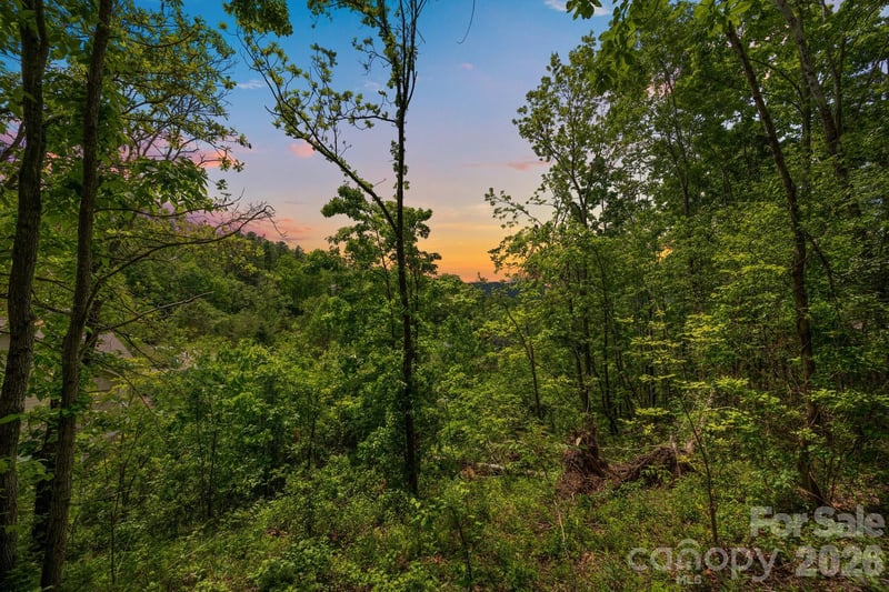 46 Hawtree Ct #255, Weaverville, NC 28787