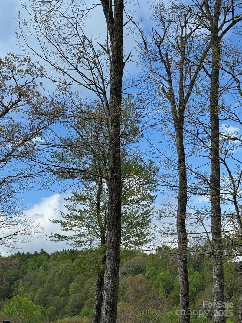 TBD Black Bear Trl #23, Linville, NC 28646