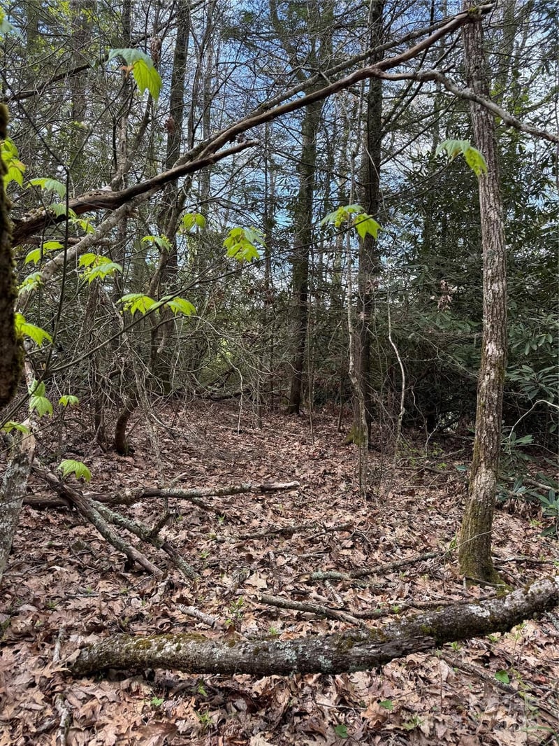 TBD Black Bear Trl #23, Linville, NC 28646