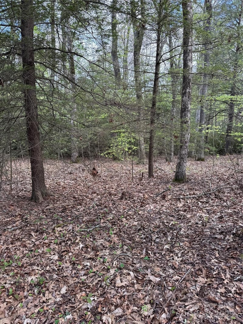 TBD Black Bear Trl #23, Linville, NC 28646