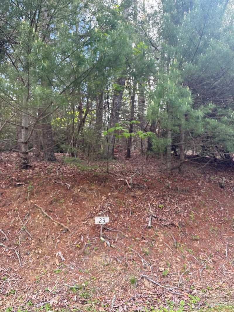 TBD Black Bear Trl #23, Linville, NC 28646