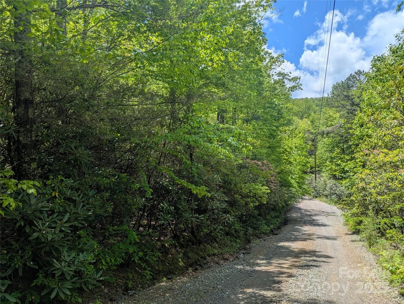 99999 Prospectors Trl, Black Mountain, NC 28711