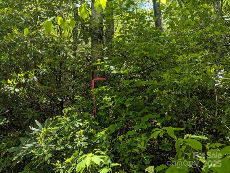 99999 Prospectors Trl, Black Mountain, NC 28711