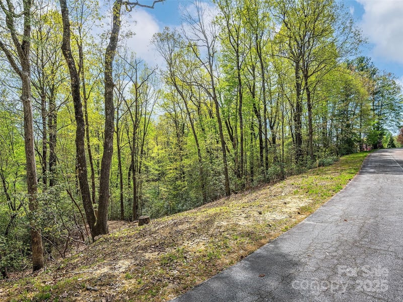 Winterberry Dr, Hendersonville, NC 28739