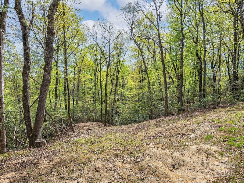 0 Winterberry Dr, Hendersonville, NC 28739