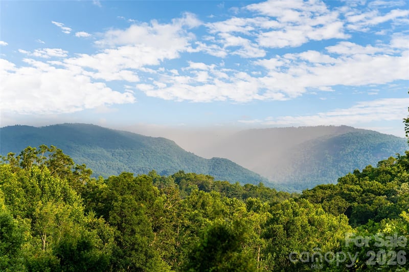 20 East Owl Creek Ln, Fairview, NC 28730