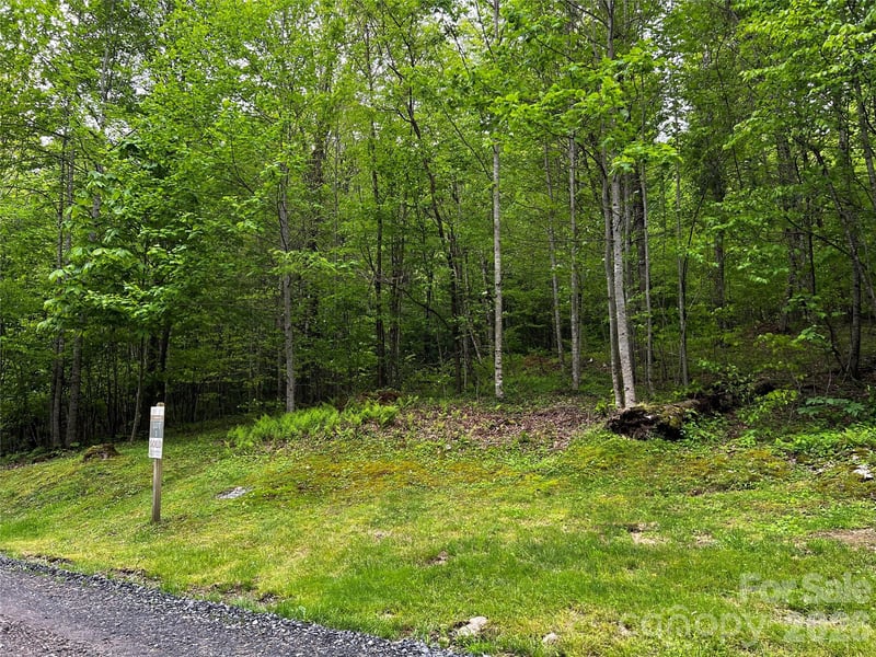 1 Pearl Way, Mars Hill, NC 28754