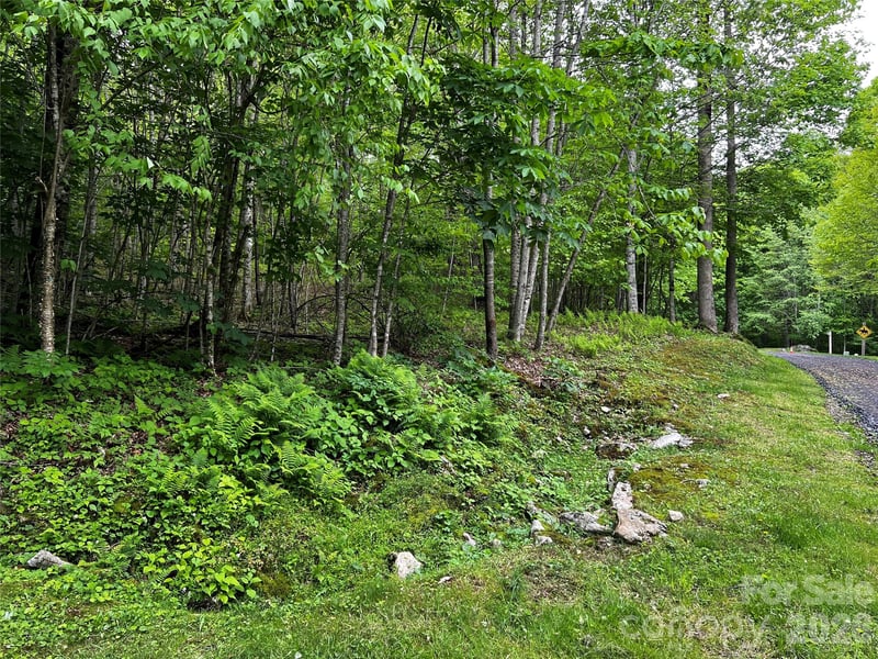 1 Pearl Way, Mars Hill, NC 28754