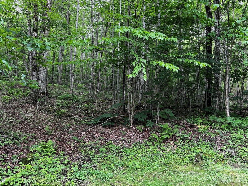 1 Pearl Way, Mars Hill, NC 28754