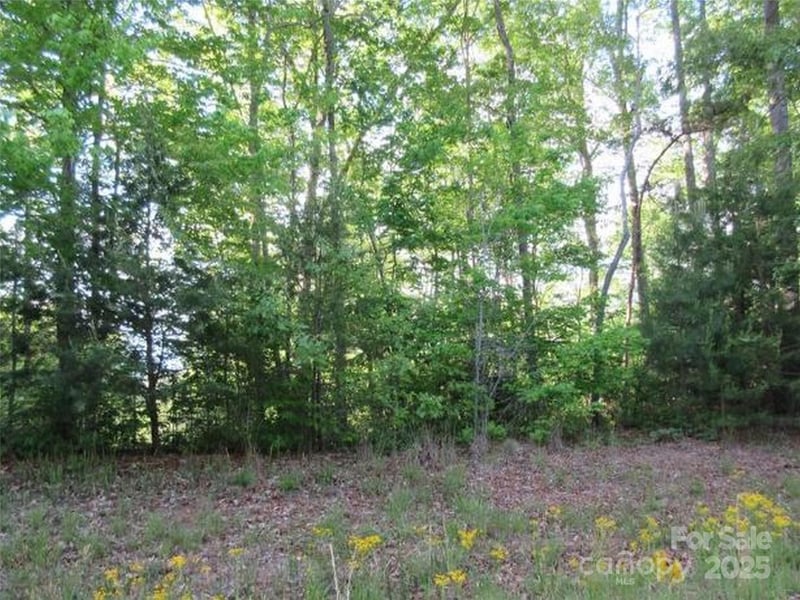 Cross Creek Trl #12, Mill Spring, NC 28756