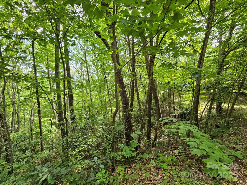 00 Autumn Dr #2, Waynesville, NC 28785