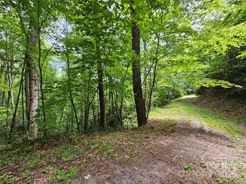 00 Autumn Dr #2, Waynesville, NC 28785