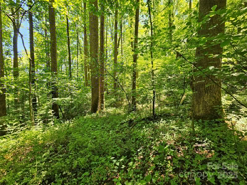 00 Owens Rd, Waynesville, NC 28785