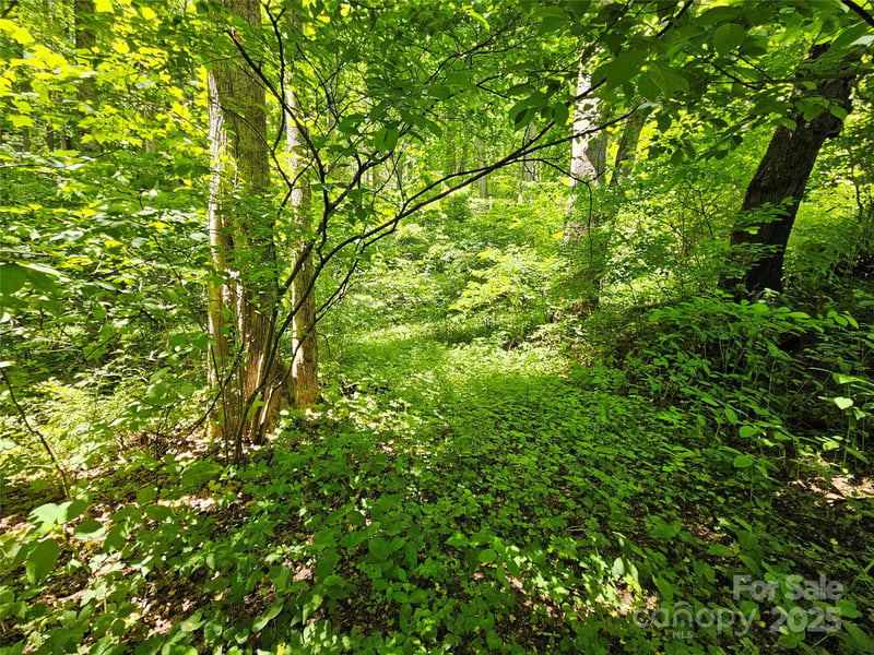 00 Owens Rd, Waynesville, NC 28785