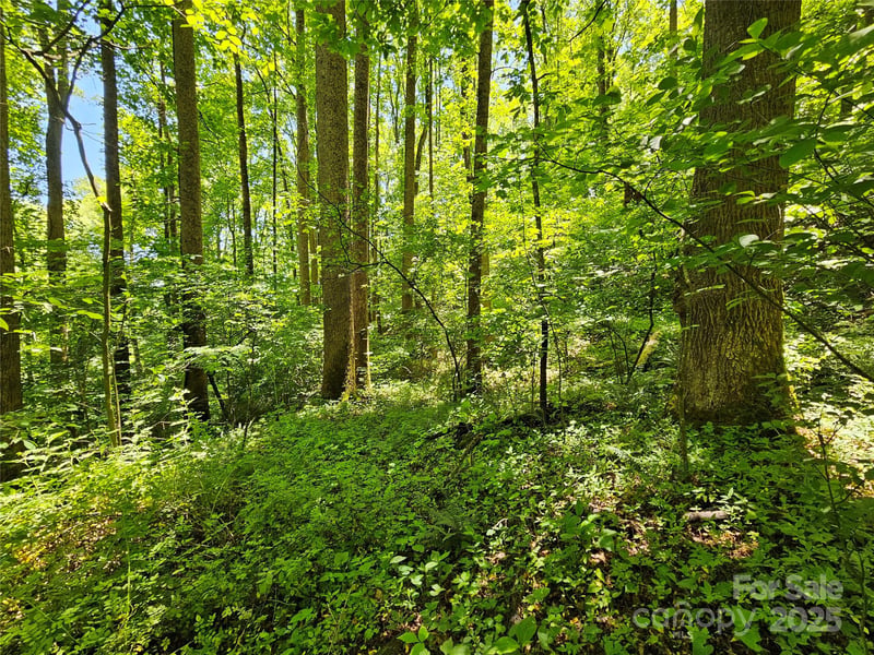 00 Owens Rd, Waynesville, NC 28785