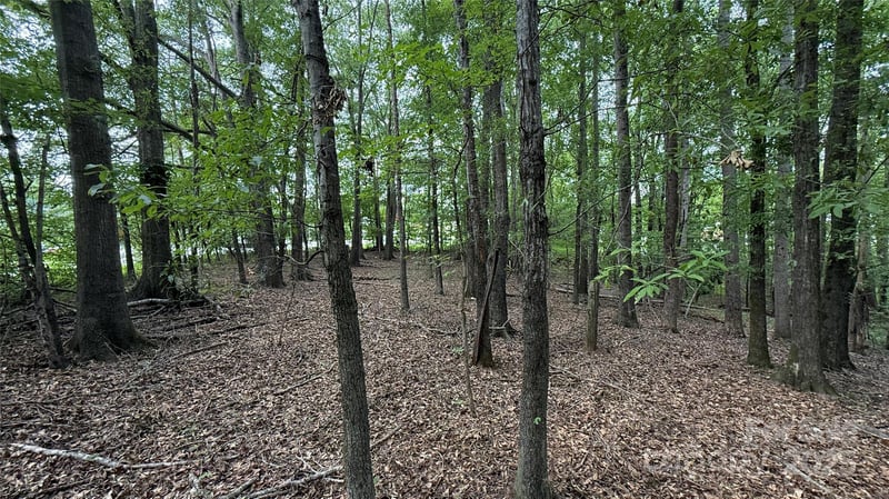 College Ave, Shelby, NC 28152