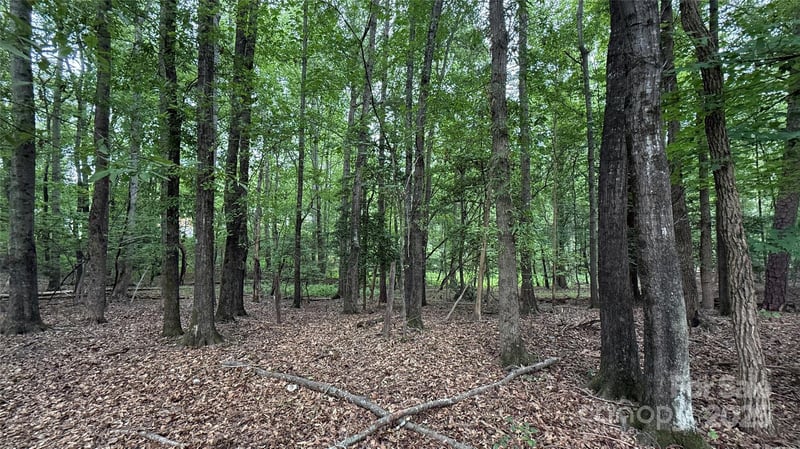 College Ave, Shelby, NC 28152