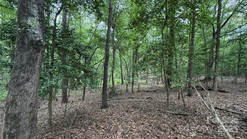 College Ave, Shelby, NC 28152