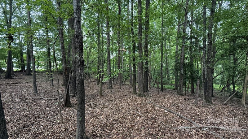 College Ave, Shelby, NC 28152