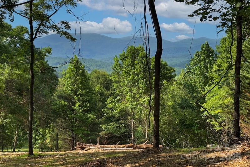 VL Smith Knolls Rd, Fairview, NC 28730