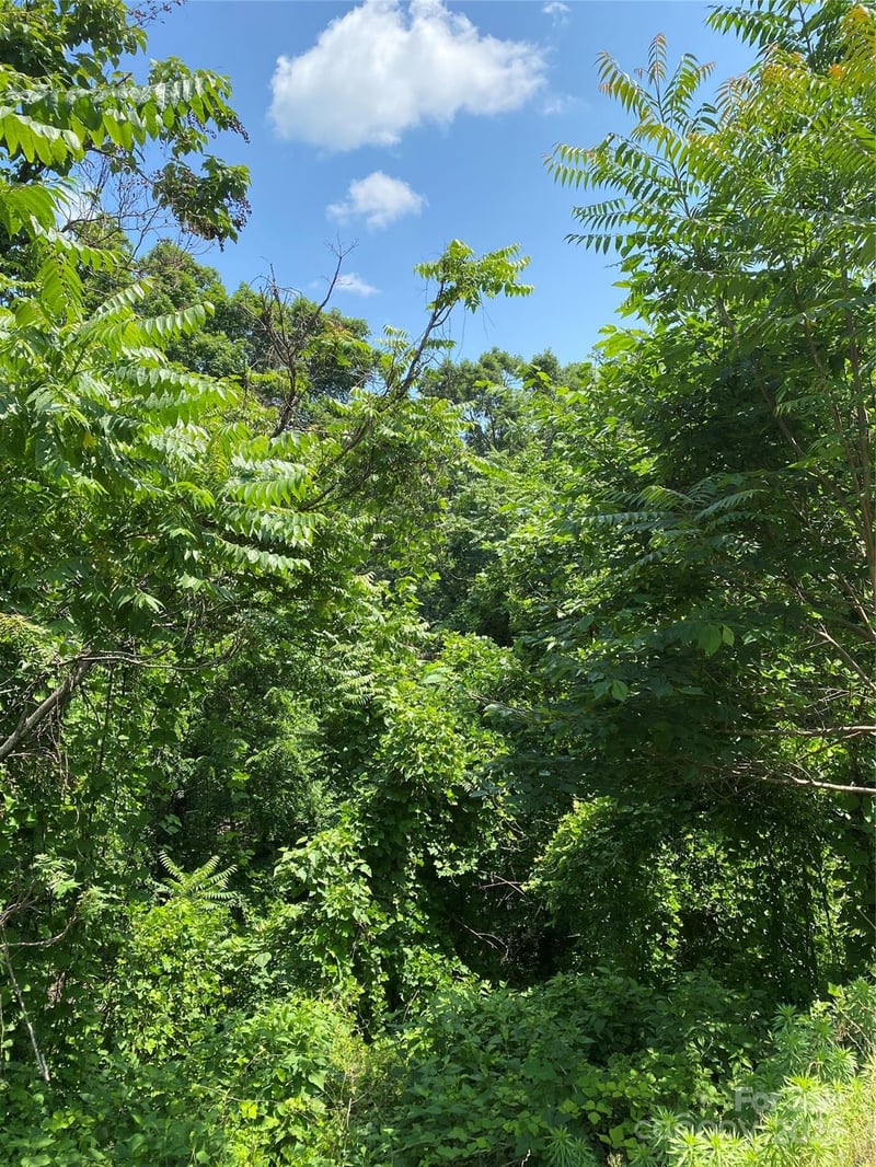 Lot 13 Highlands Dr, Lake Lure, NC 28746