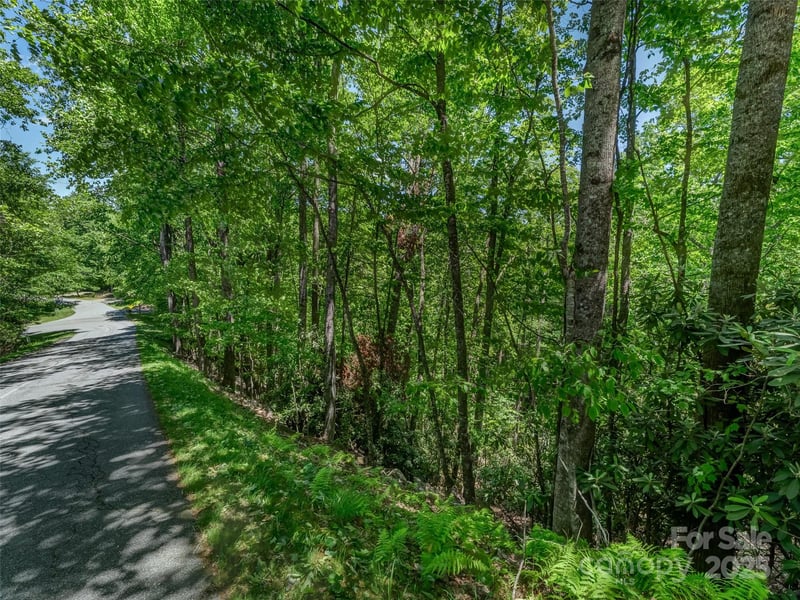 0000 Dotsi Dr, Brevard, NC 28712