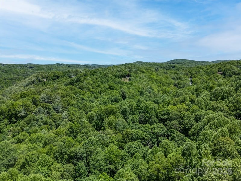 0000 Dotsi Dr, Brevard, NC 28712