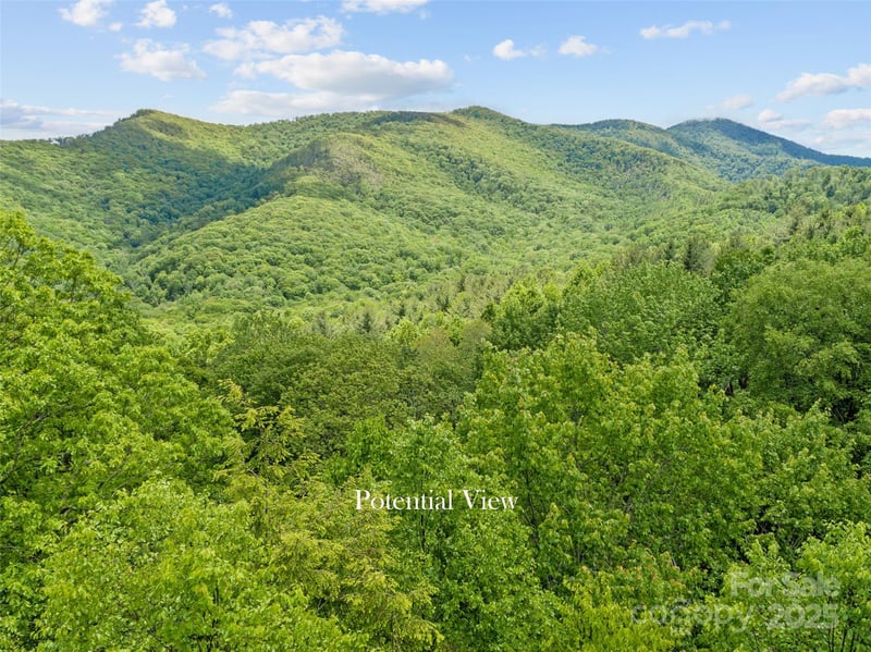000 Ridge Runner Rd #92, Burnsville, NC 28714
