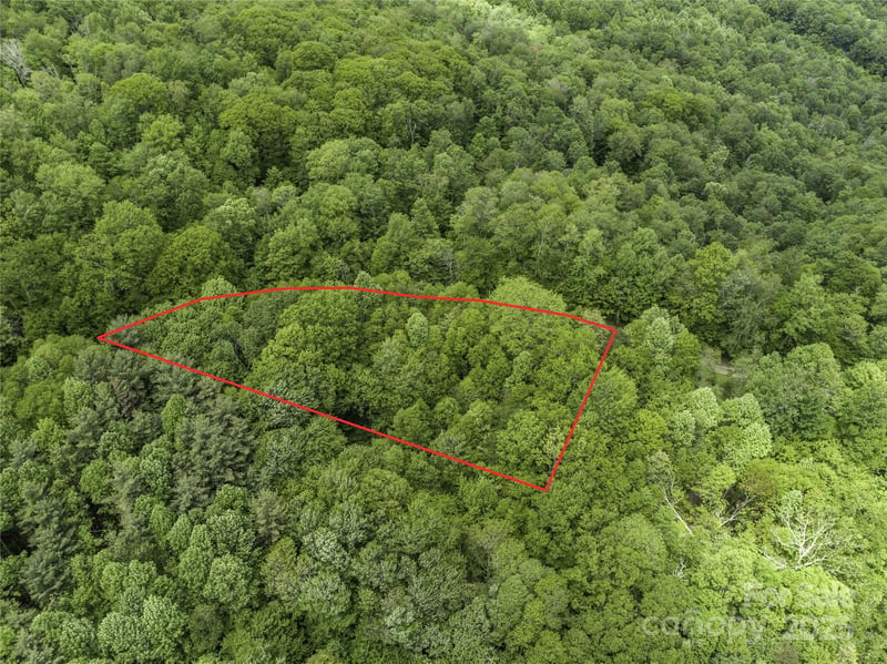 000 Ridge Runner Rd #92, Burnsville, NC 28714
