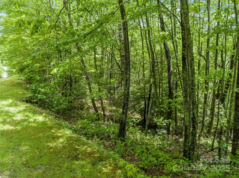 000 Ridge Runner Rd #92, Burnsville, NC 28714