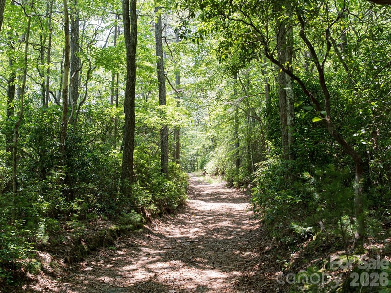 1000 Sutton Creek Rd, Pisgah Forest, NC 28768