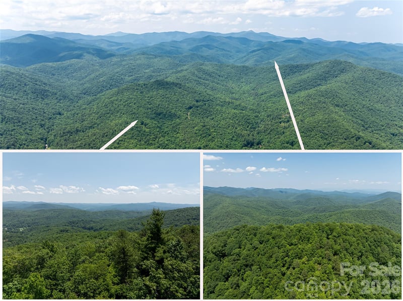 1000 Sutton Creek Rd, Pisgah Forest, NC 28768