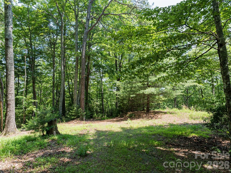 1000 Sutton Creek Rd, Pisgah Forest, NC 28768