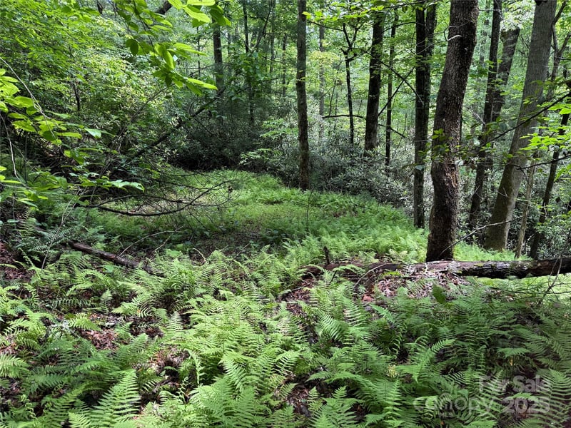 TBD Caroline Ln #7R, Pisgah Forest, NC 28768