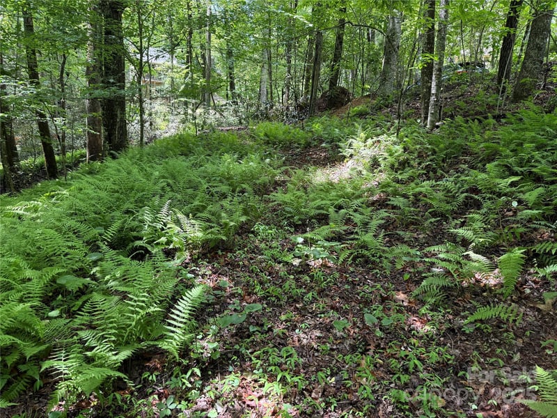 TBD Caroline Ln #7R, Pisgah Forest, NC 28768
