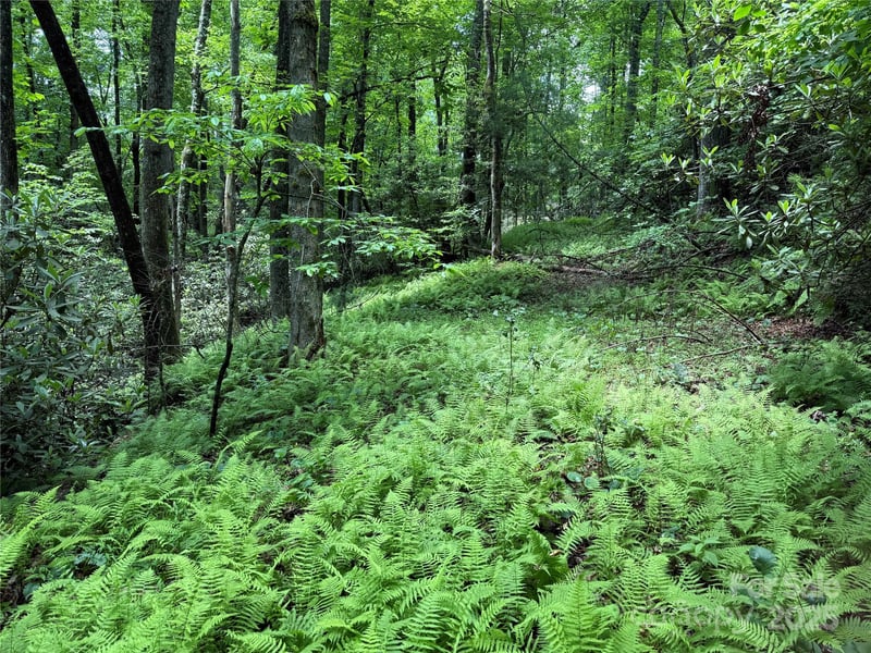 TBD Caroline Ln #7R, Pisgah Forest, NC 28768