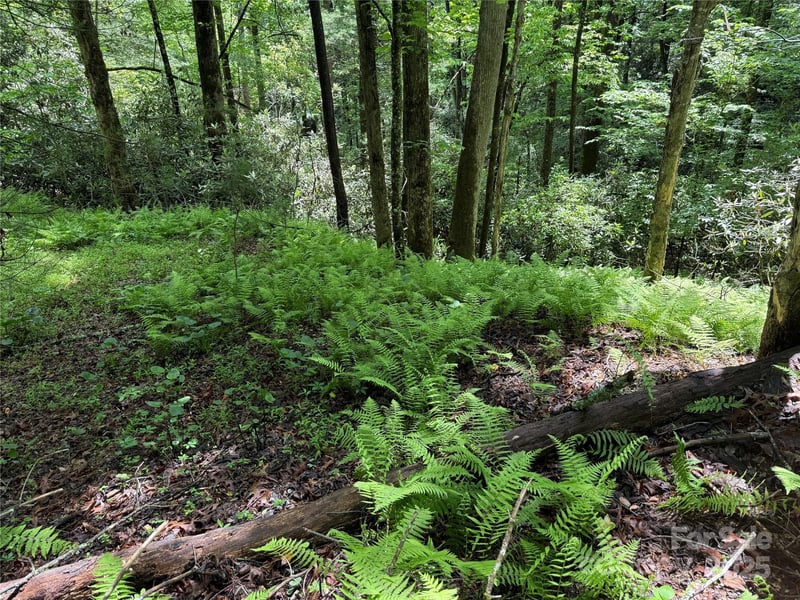TBD Caroline Ln #7R, Pisgah Forest, NC 28768