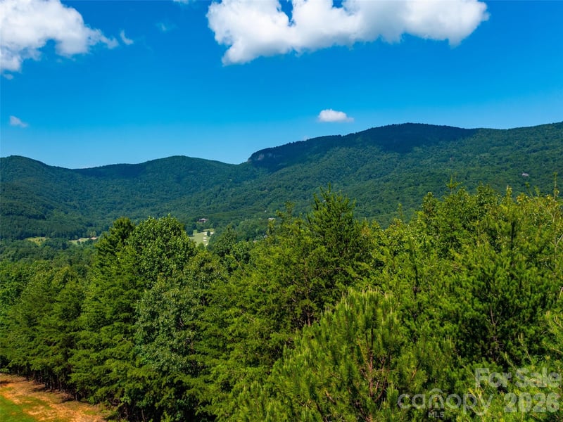 40 Deep Gap Farm Rd, Mill Spring, NC 28756
