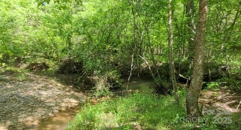 Big Level Rd, Mill Spring, NC 28756