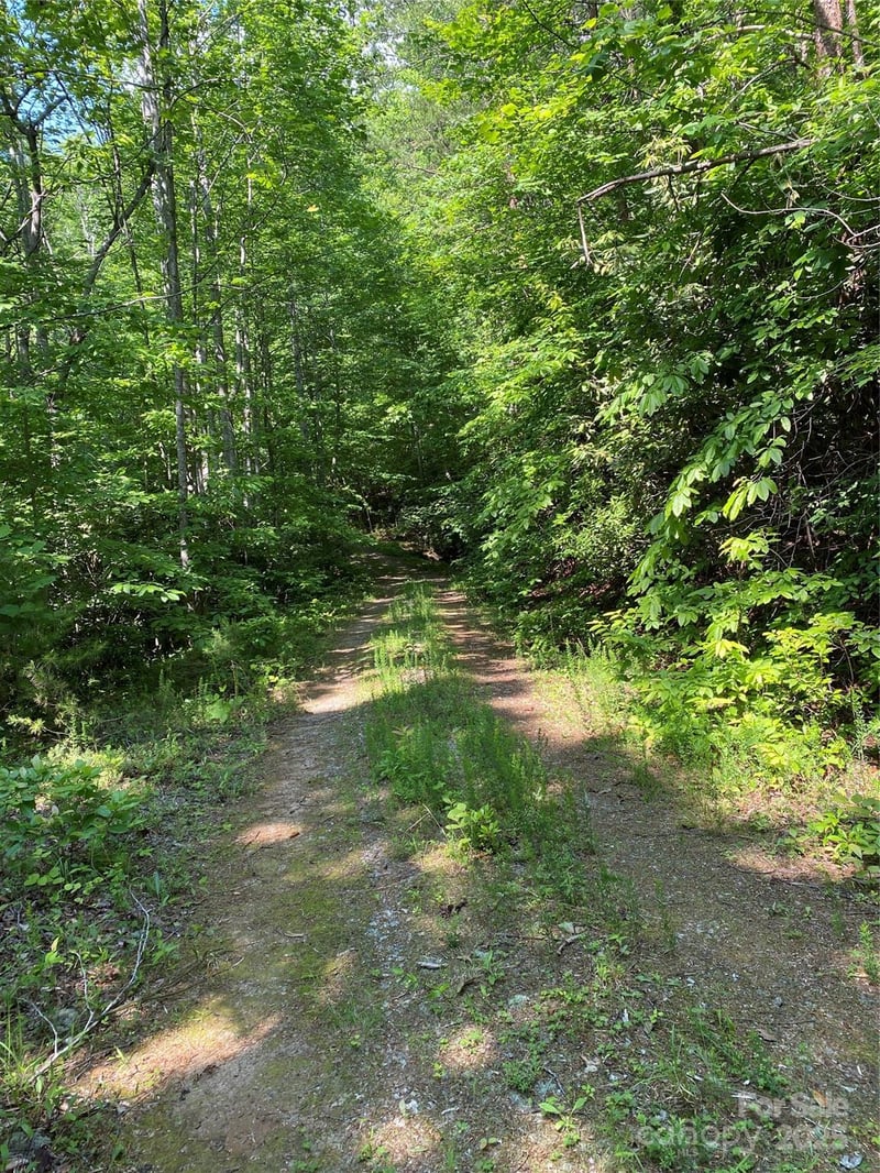 Falcons Ave #12, Lake Lure, NC 28746