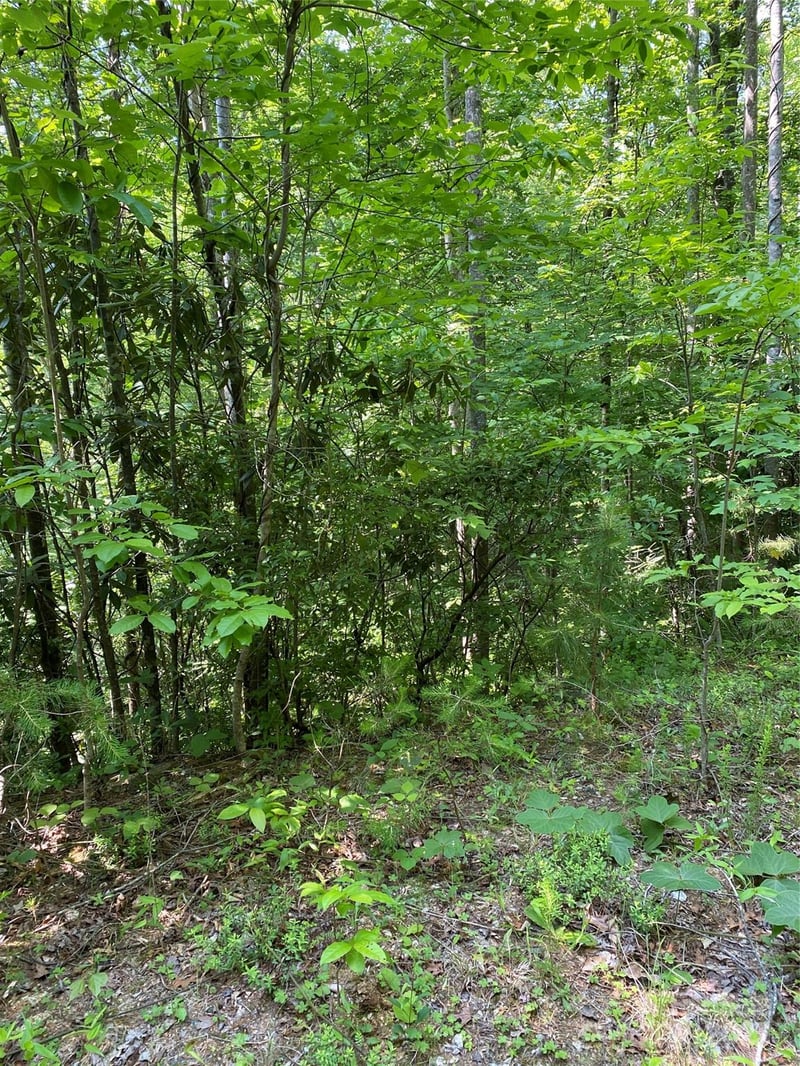 Falcons Ave #12, Lake Lure, NC 28746