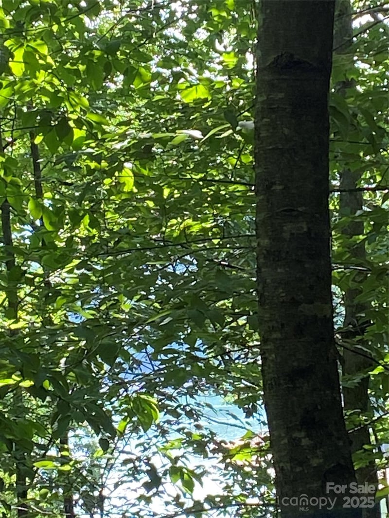Falcons Ave #12, Lake Lure, NC 28746