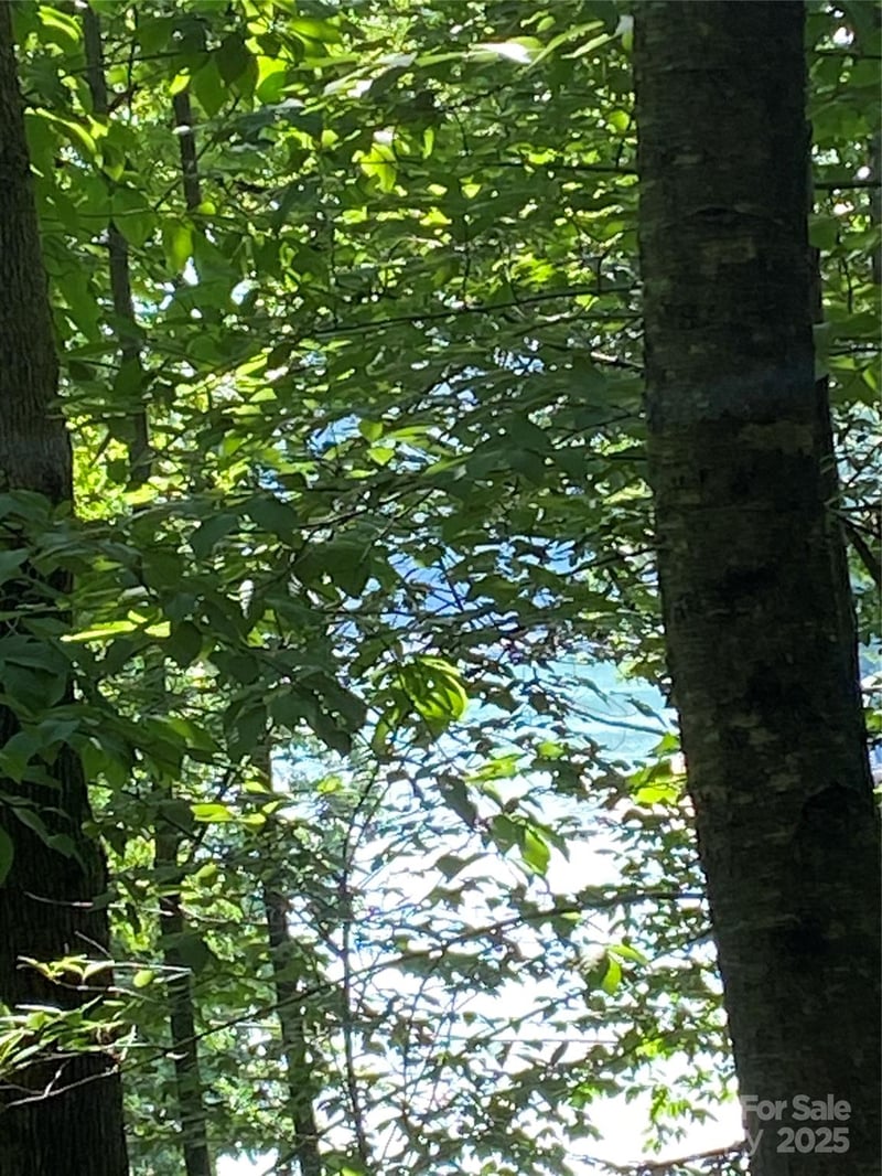 0 Falcons Ave #12, Lake Lure, NC 28746