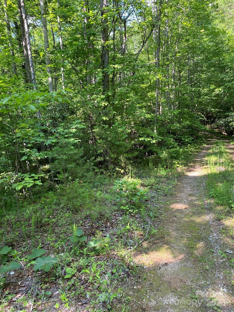 0 Falcons Ave #12, Lake Lure, NC 28746