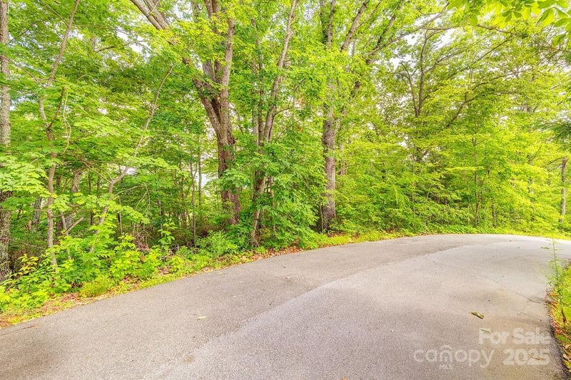 99999 Pheasant Ridge Rd #14, Fairview, NC 28730