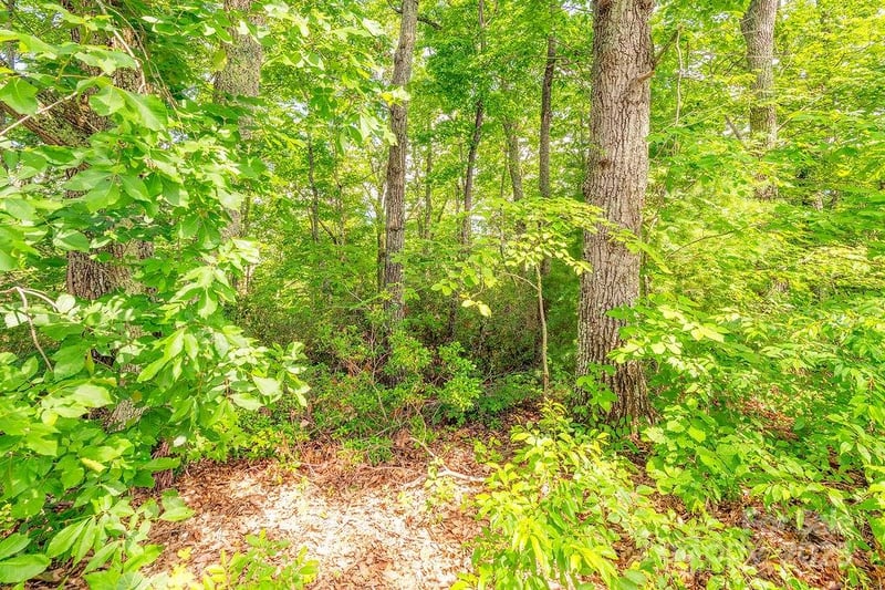 99999 Pheasant Ridge Rd #14, Fairview, NC 28730