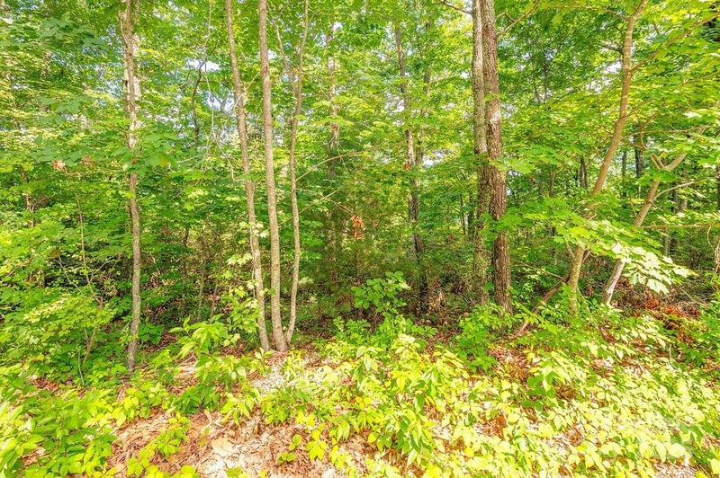 99999 Pheasant Ridge Rd #14, Fairview, NC 28730