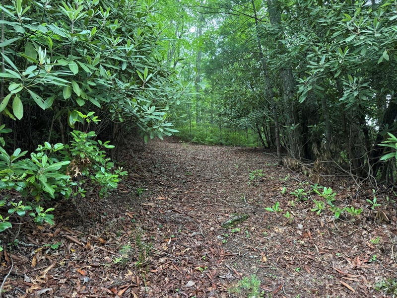TBD Blueberry Trl #14, Lake Toxaway, NC 28747