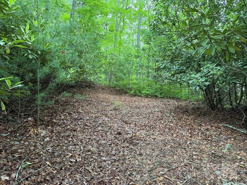 TBD Blueberry Trl #14, Lake Toxaway, NC 28747